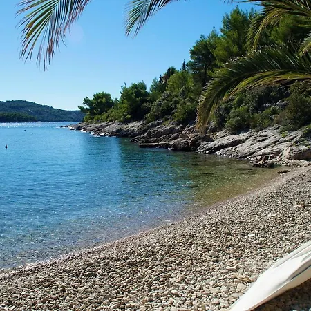 By The Sea Cove Mikulina Luka, Korcula - 16397 公寓 尼亚卢卡